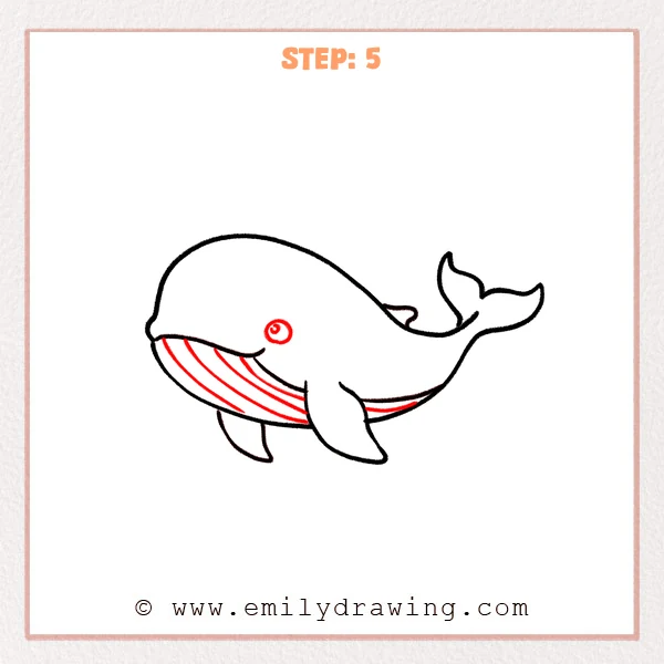 how to draw a humpback whale - Step 5
